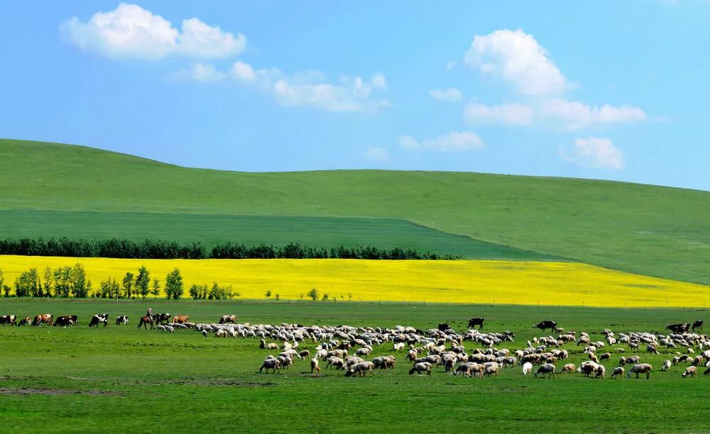 行走内蒙古,探寻大美草原之旅