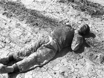 河南,自然之约,温柔邂逅之地