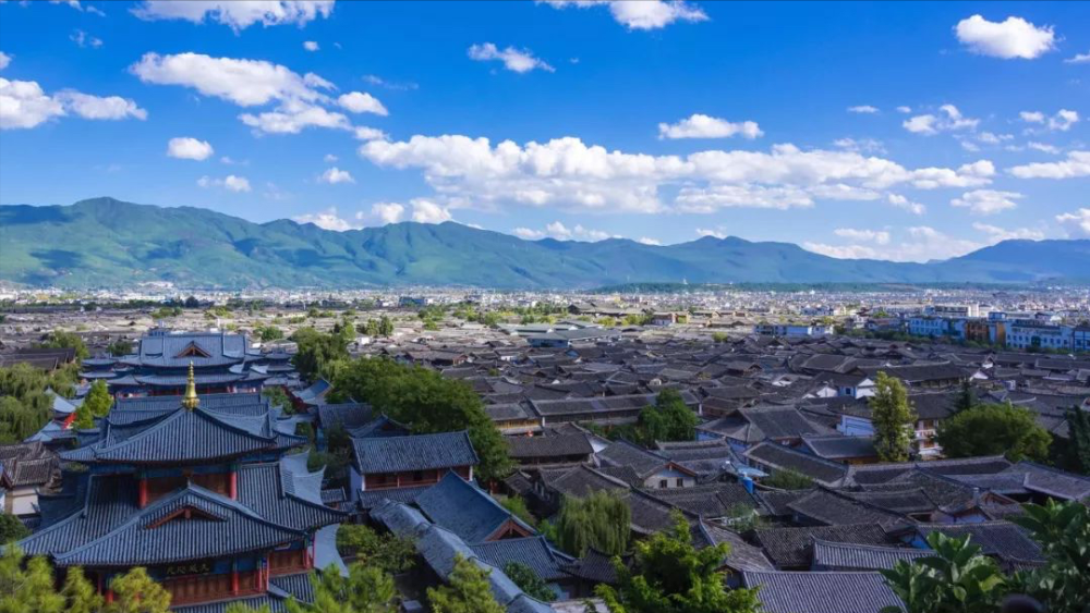 阳光下的云南情缘,一场意外的友情盛宴